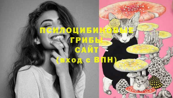 марки lsd Алексин