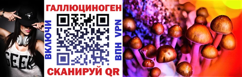 Псилоцибиновые грибы Cubensis  Петровск 